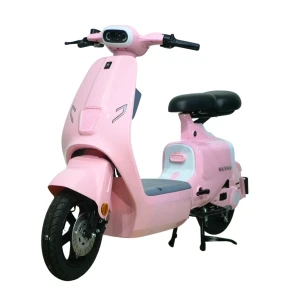 Xe điện Ally Elyas