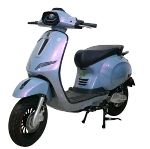 XE MÁY ĐIỆN ALLY VEGAS EVS1