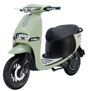 Xe máy điện Osakar Gogo Fiona