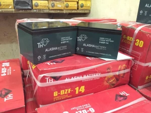 Ắc quy xe đạp điên Alaska 48V-14A nhập khẩu