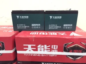 Ắc quy xe đạp điện Thiên Năng 48V-12A nhập khẩu chính hãng