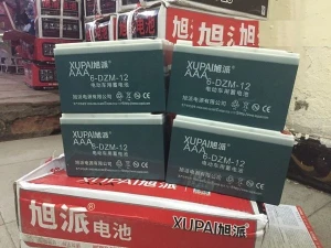 Ắc quy xe đạp điện Xupai 48V-12A nhập khẩu