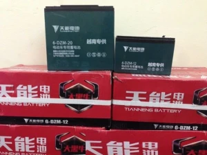 Ắc quy xe máy điện Thiên Năng 48V-20A nhập khẩu