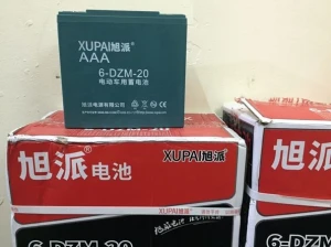Ắc quy xe máy điện Xupai 48V-20A nhập khẩu