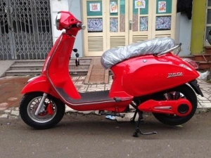 Các loại xe máy điện Vespa 4 bình ắc quy đời 2015