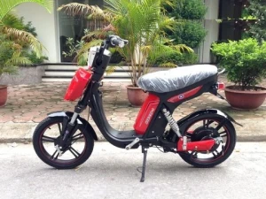 Xe đạp điện Cap A nhập khẩu chính hãng mới 2016