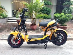 Xe đạp điện Giant m133s chính hãng Gianya 5 bình ắc quy