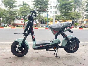 Xe đạp điện Giant 133 Sport 2024 (không phải đăng ký)
