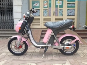 Xe đạp điện Nijia 2015 phanh đĩa nhập khẩu chính hãng