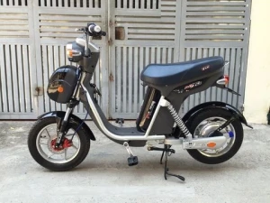 Xe đạp điện Nijia 20A Deluxe chính hãng 2017