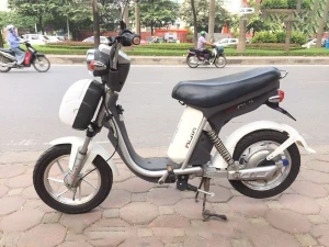 Xe đạp điện Nijia cũ