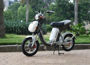 Nijia Maxbike nhập khẩu chính hãng 2016 bình 20A