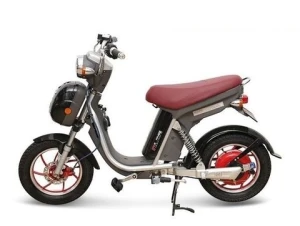 Xe đạp điện Nijia Plus mới 2016 vành đỏ động cơ đỏ