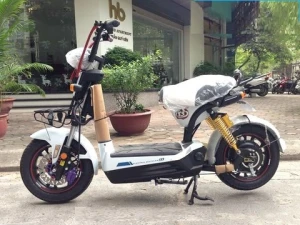 Xe điện Giant m133s Plus liên doanh 5 bình ắc qui