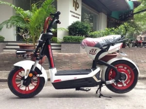 Xe điện Giant m133s Plus nhập khẩu chính hãng Đài Loan 2016