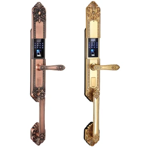 Khóa Cửa Đại Sảnh IBC CX9