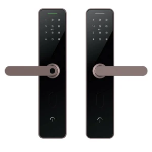 Khóa Cửa Vân Tay Xiaomi Lockin ojj x1 Bản Quốc Tế