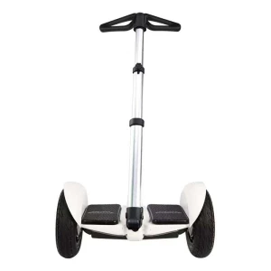 CẦN ĐIỀU KHIỂN XE CÂN BẰNG NINEBOT HOMESHEEL