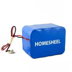 Pin xe đạp điện chính hãng HOMESHEEL 48V 10.4AH