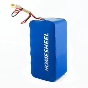 Pin xe đạp điện chính hãng HOMESHEEL 48V 15AH