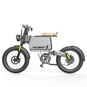 Xe Đạp Điện Trợ Lực Homesheel The Beast 1