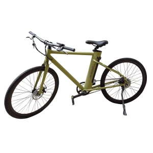 Xe Đạp Trợ Lực Điện Thể Thao Homesheel C24