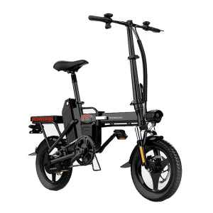 Xe điện gấp gọn độc nhất và thông minh Homesheel T5_ 12AH