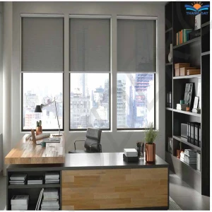 Mua Rèm cuốn Modero mã DR cao cấp giá tốt nhất tại Thế Giới Rèm Việt