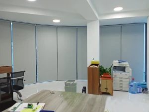 Rèm cuốn trơn mã TGRV-NP0994