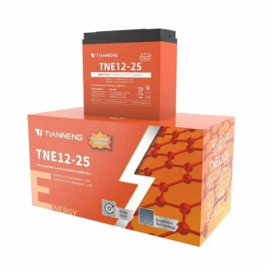 Ắc Quy Xe Điện Tianneng ( Thiên Năng ) Chịu Nhiệt 60v 25Ah