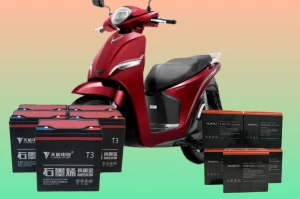 Ắc quy xe máy điện VinFast Feliz