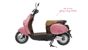 Ắc Quy Xe Máy Điện Vinfast Motio