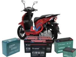 Ắc Quy Xe Máy Điện Yadea V002 (VFV)