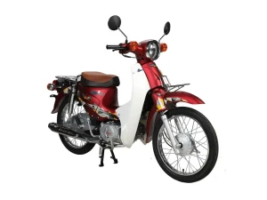 Xe Cub 81 Halim 50CC màu đỏ mận model năm 2020