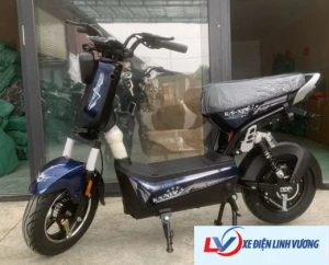 Xe Đạp Điện X-Bull Cao Cấp 2024