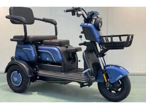 Xe máy điện 3 bánh VTX3