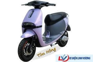 Xe máy điện GOGO Victoria V68-1 (Việt Nhật)