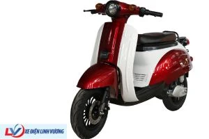Xe máy điện Victoria V69 (Việt - Nhật)