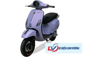 Xe máy điện Victoria V88 Pro (Việt - Nhật)
