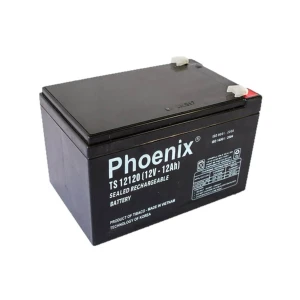 Ắc quy Phoenix 12V 12AH TS12120