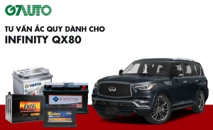 Bình ắc quy xe Infiniti QX80: Bảng giá và thông số kỹ thuật
