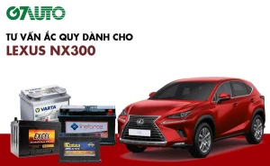Bình ắc quy xe Lexus NX300: Bảng giá và thông số kỹ thuật