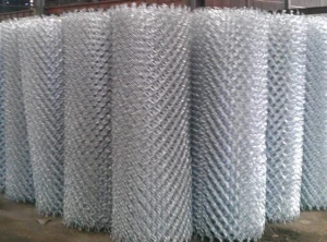 Lưới B40 3.0x50x50x2000mm