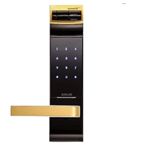 Khóa cửa Gateman F300 FH Remote