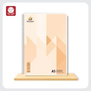 Sổ lò xo dọc 3774 hải tiến A5-200tr