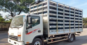 Xe Tải JAC Chở Gia Cầm 3.5 Tấn (Xe Chở Gà JAC N500)