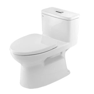 Bồn Cầu INAX AC-969VN (AC969VN) 1 Khối Có Aqua Ceramic