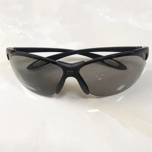 Kính bảo hộ A902 đen Sperian