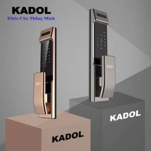 KADOL KD-M100F