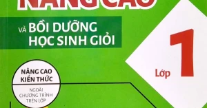 Toán Nâng Cao Và Bồi Dưỡng Học Sinh Giỏi Lớp 1 (Nâng Cao Kiến Thức Ngoài Chương Trình Lên Lớp)